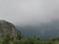 -牛背梁国家森林公园