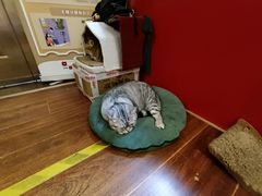 -H立方实景剧情密室(天河旗舰店)