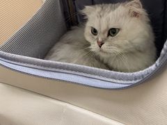 -瑞派康怡24h宠物医院·犬猫医疗中心·微创绝育(瑞景分院)