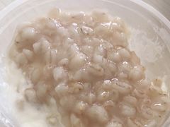 -雪露酸奶