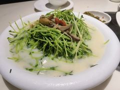 -石头咕(黄岐店)