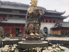 -上海东林寺(金山区)