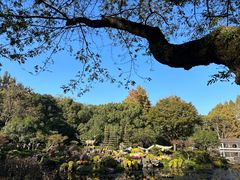 -杭州植物园