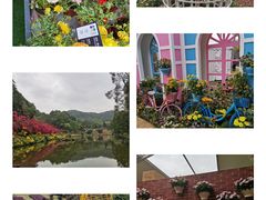 -深圳市中科院仙湖植物园