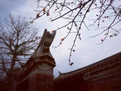 -晋江五店市传统文化旅游区