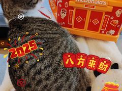 -麦当劳(宝山大厦店)