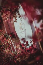 -忆江南婚礼策划(姑苏店)