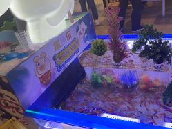 点击看大图 -卡通尼·Safari非洲探索乐园·生日会(金桥国际商业广场店)