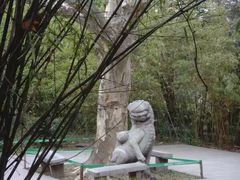 -包公祠