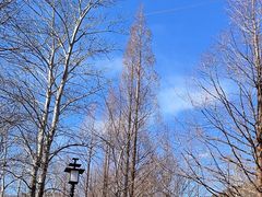 -白水寺森林公园