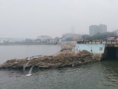 -黑石礁公园
