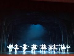 -北京大学百年讲堂