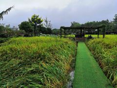 -洪湖家庭农场·团建·露营·会议
