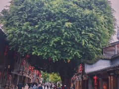 -三坊七巷历史文化街区