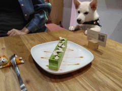 -柴务处·柴犬主题狗咖