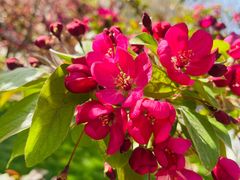 -元大都城垣遗址公园