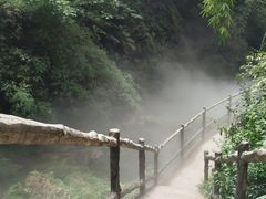 -川西竹海景区