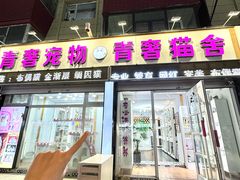 -青奢宠物·青奢猫舍