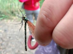 -碓臼峪自然风景区