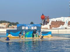 -秦皇岛乐岛海洋王国