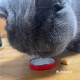 没事儿就来打牛奶