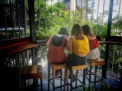 -Rainforest
