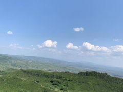 景点-张北坝上草原