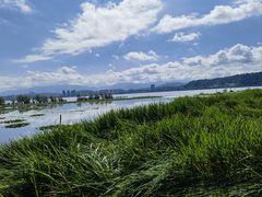 -洱海月湿地公园