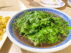 水上漂-四季园农家乐