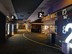 -万达影城(江桥万达广场IMAX店)