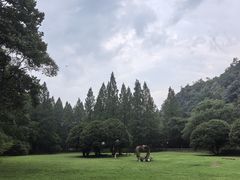 -五泄景区