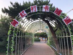 -万泉公园