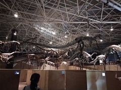 -世界恐龙谷景区