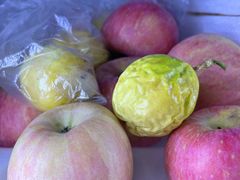 -领尚沃尔玛购物广场(大岭山玉屏路分店)