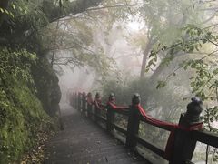 -塔云山