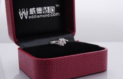 样照！期待我自己的闪闪！-威德钻石-克拉钻大本营(南京东路店)