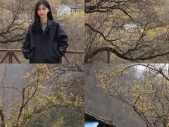 -黑河国家森林公园