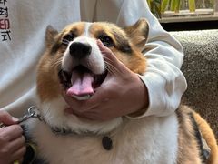 -瑞虹新天地月亮湾