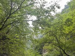 -北京上方山国家森林公园