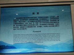 -龙泉青瓷博物馆