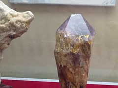 -延庆地质公园博物馆