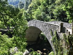 -石台牯牛降景区
