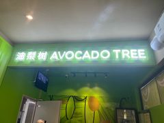-油梨树AVOCADO TREE(顺义新国展店)