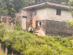 -碧峰峡风景区