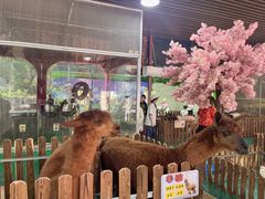 -柳州市动物园