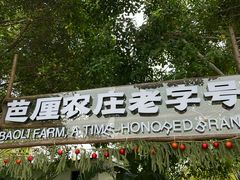 -芭厘农庄老字号·清远鸡