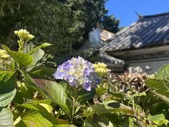 -苍山感通索道
