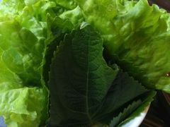 -青松大叔的店(东财店)