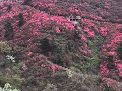 -木兰云雾山