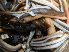 -菜老包(莘庄农贸市场店)